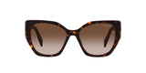 Prada | 19ZS | Tortoise