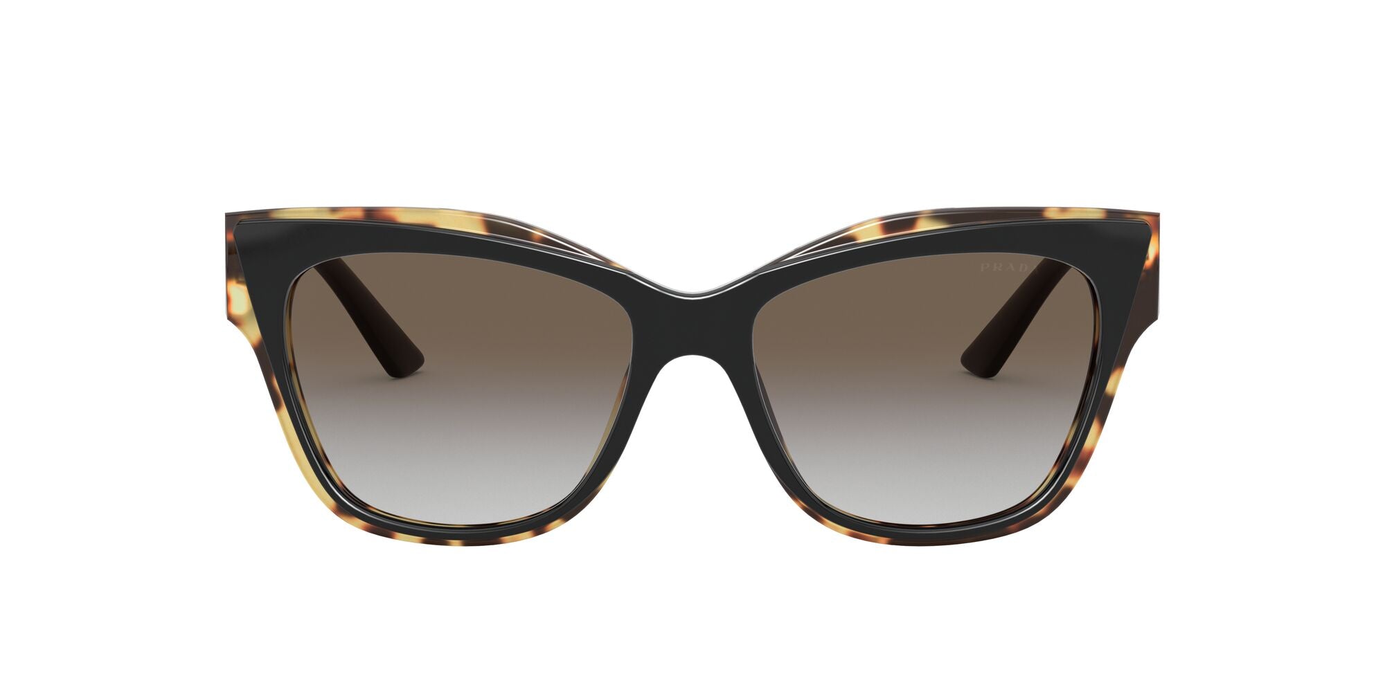 Prada | 23XSF | Black/Havana Media
