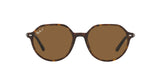 Ray-Ban | 2195 Thalia | Havana Polarised