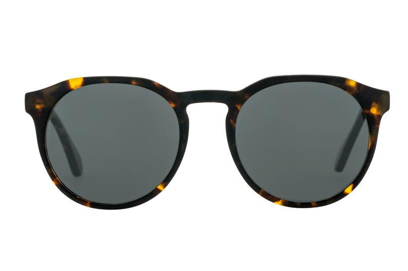 Bask | Sheyd | Matte Dark Tort